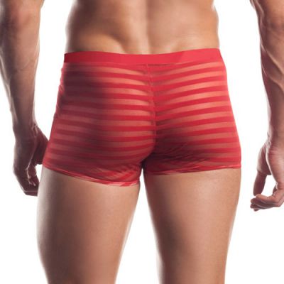 Striped mesh boxer