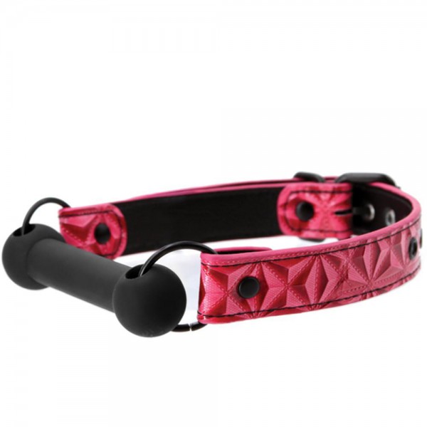 Sinful Bar Gag
