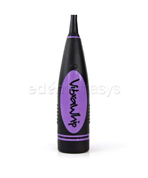Vibrafun dressage whip