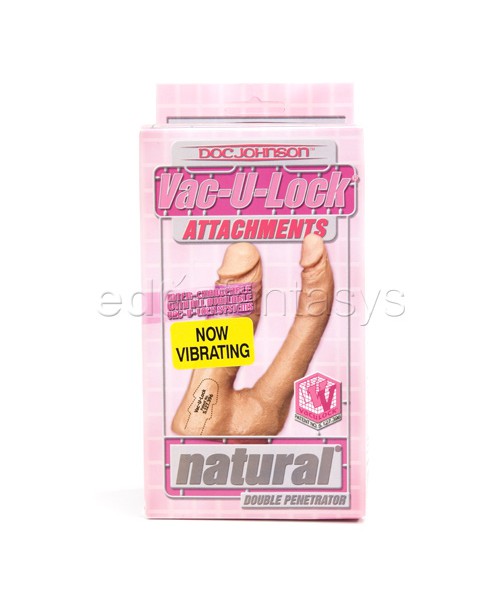 Double penetrator vibrating