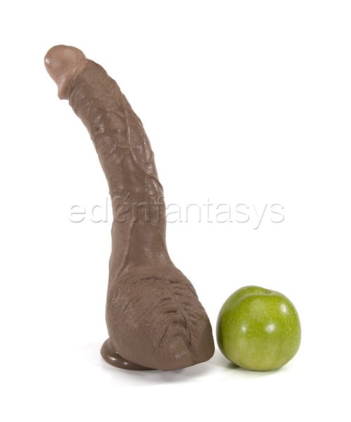 Colt Adam Dexter dong — image 4 of 5