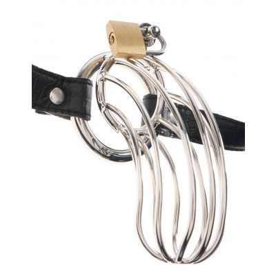 Fetish Fantasy Extreme Men s Chastity Belt Lock