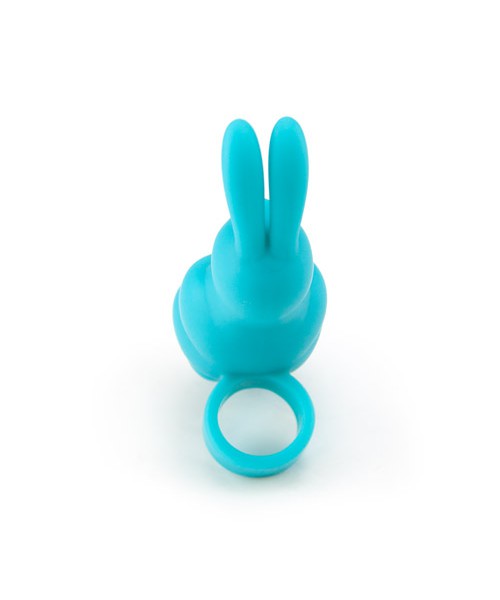 Sweet bunny