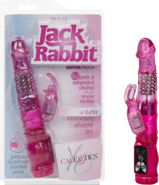 Petite Jack Rabbit