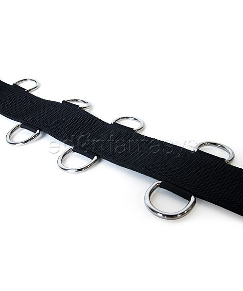 Neck and Wrist Restraint