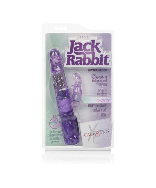 Petite Jack Rabbit