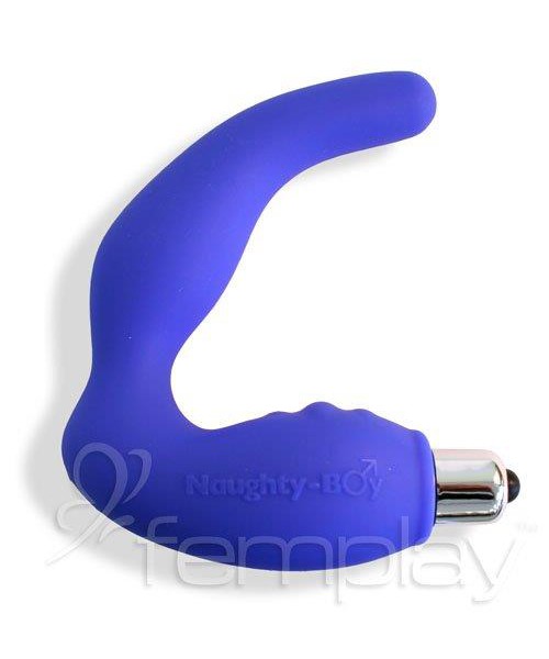Naughty Boy Prostate Pleasuriser - Blue