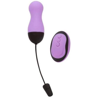 Remote Control Vibrating Egg