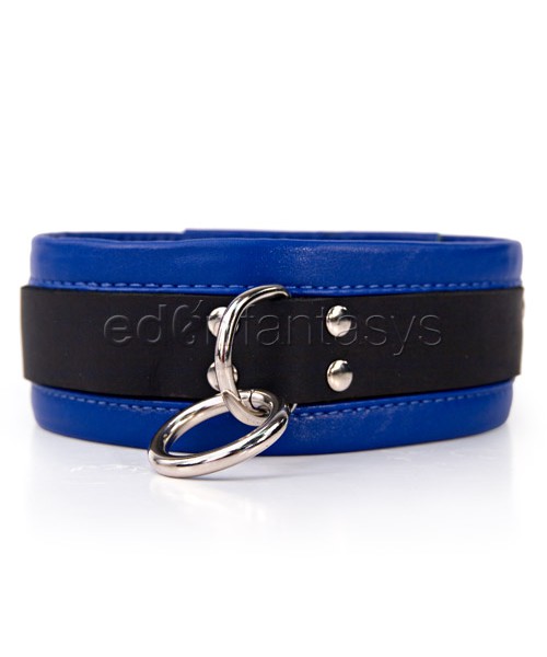 Black and blue collar