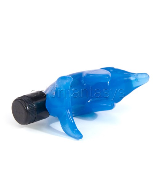 Tiny teasers dolphin