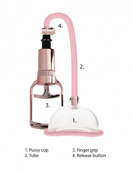 Pumped Rose Gold Pussy Pump