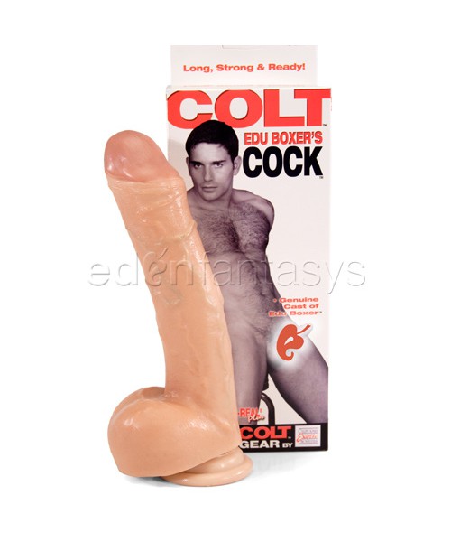 Colt Edu Boxer's cock