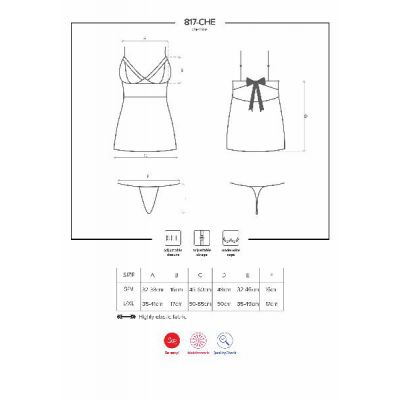 See Me Mesh Chemise And Thong