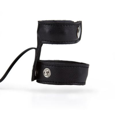 ePlay leather cage