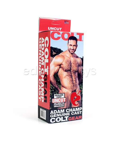 Colt Adam Champ cock