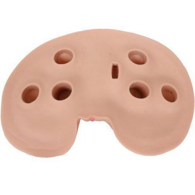 Juli Ashton Ultra Realistic Body Mold