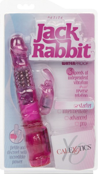 Petite Jack Rabbit