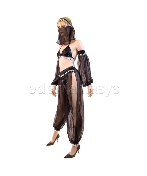 Arabian dancer costume