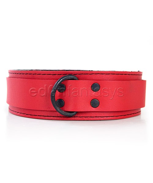 Collar with fur