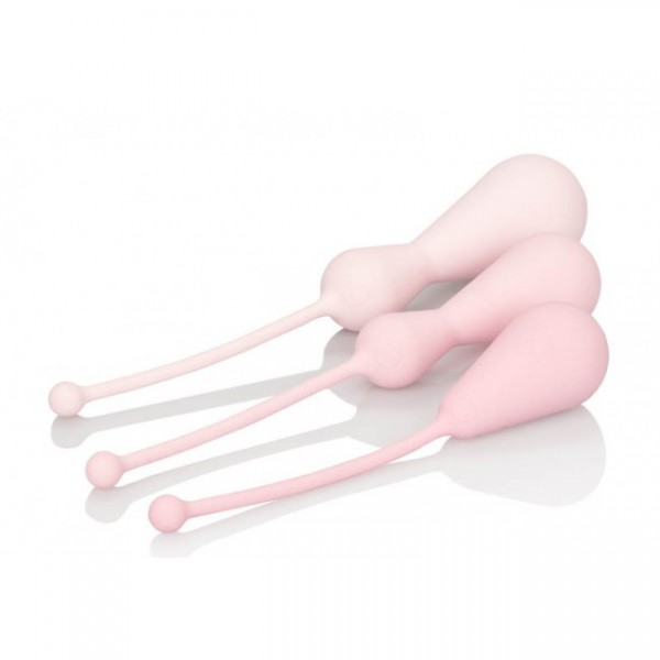Inspire Weighted Silicone Kegel Training Kit