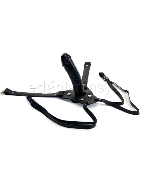 Dual strap harness set