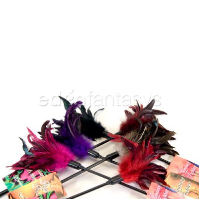 Starburst feather 6ps