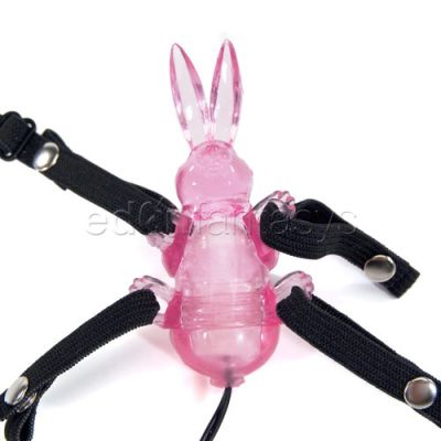 Impulse hypersonic bunny