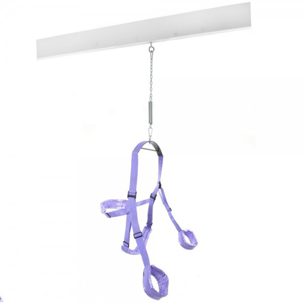 Fetish Fantasy Sex Swing