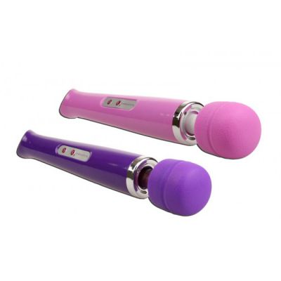 The Hummingbird 10 Function Rechargeable Massager