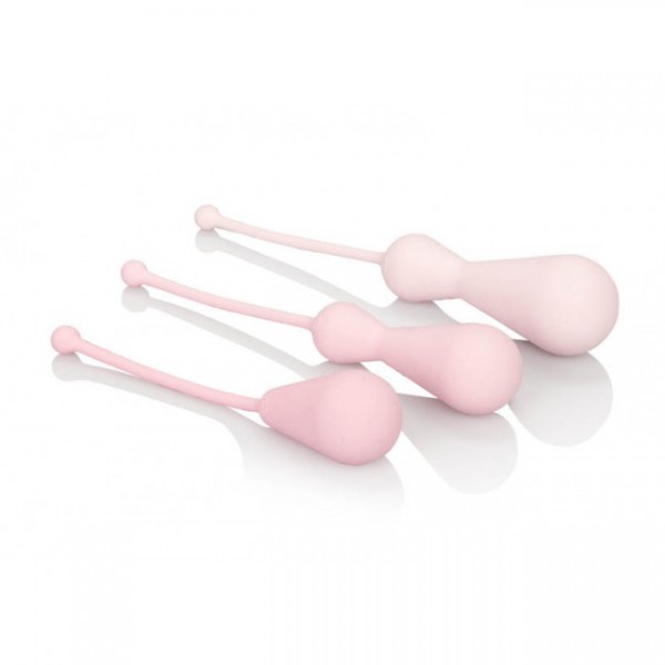 Inspire Weighted Silicone Kegel Training Kit