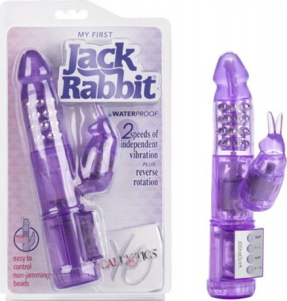 My First Jack Rabbit