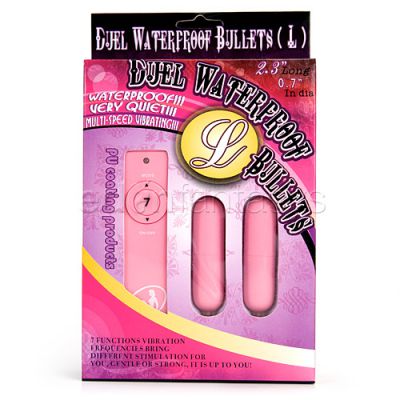 Dual bullets disc