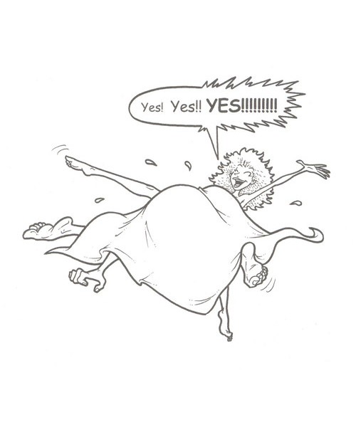 The Complete Idiot's Guide To Amazing Sex, Third Edition