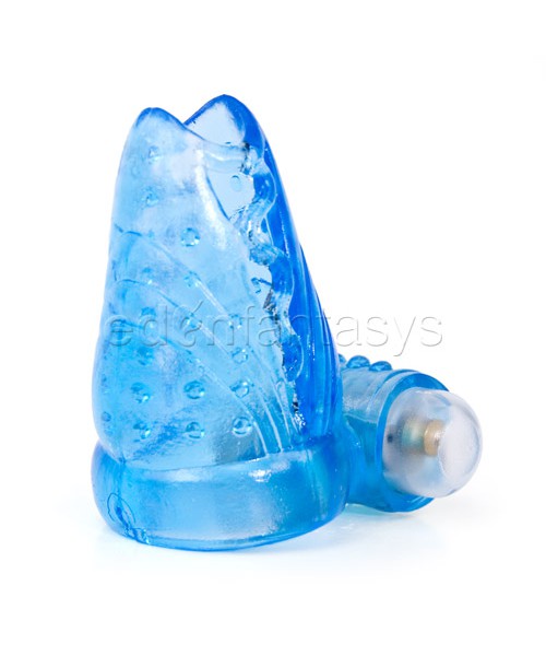Neptune's sheath