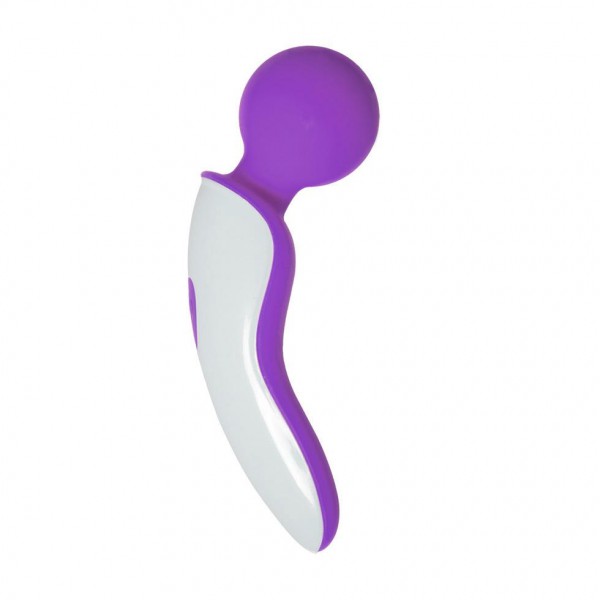 Magic Touch Rapture Massager