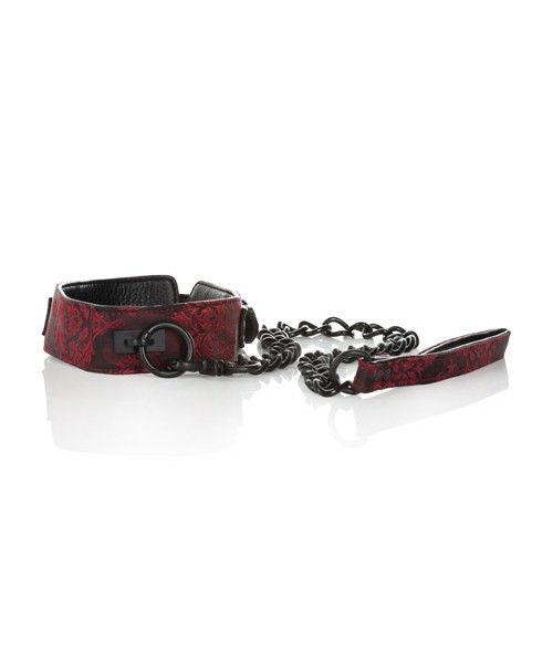 Scandal Collar with Leash