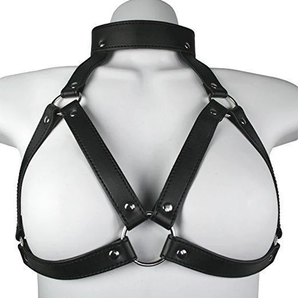 Harness with Gag & Nipple Clamps Set — image 17 of 22