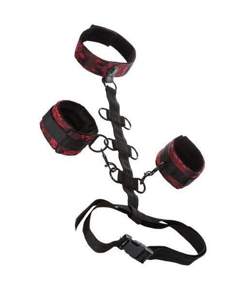 Scandal Collar Body Restraint
