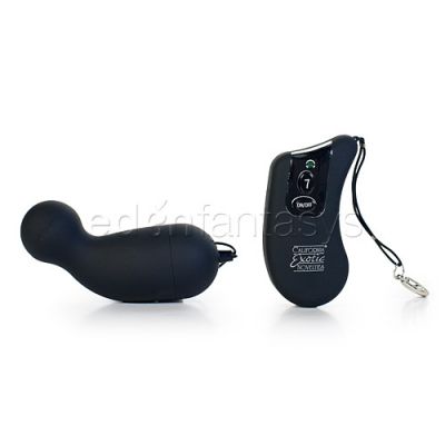 Waterproof 7 Function Remote G
