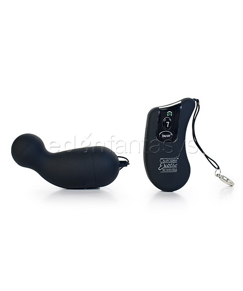 Waterproof 7-Function Remote G