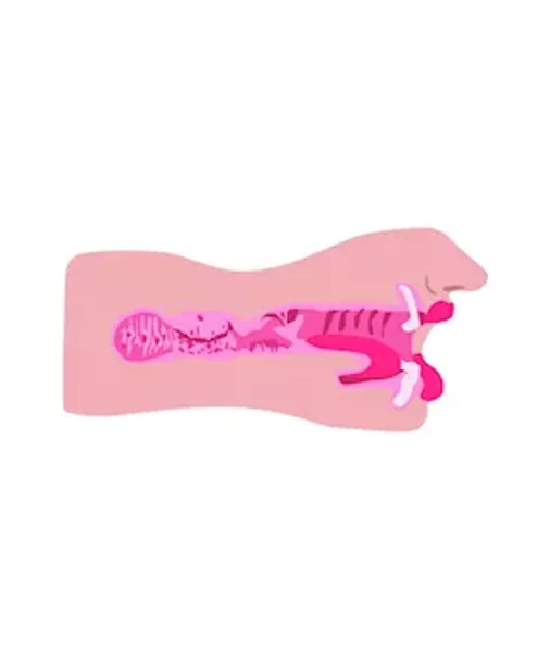 Sarah's Sexy Mouth Stroker - 6.5 Inches — image 7 of 7