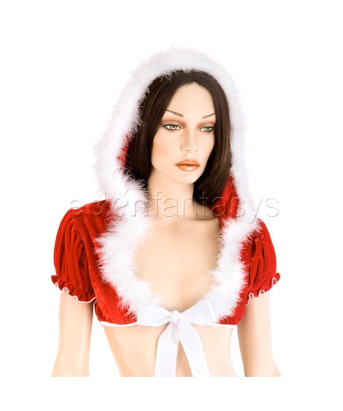Velvet Santa costume