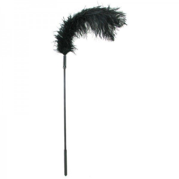 Ostrich feather
