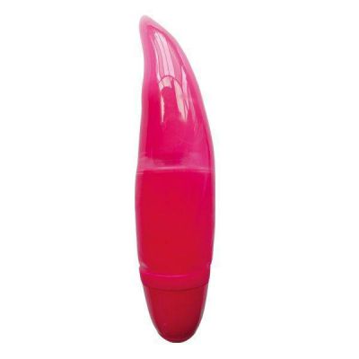 Pleasure Vibrator