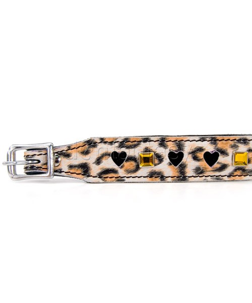 Leopard bling collar