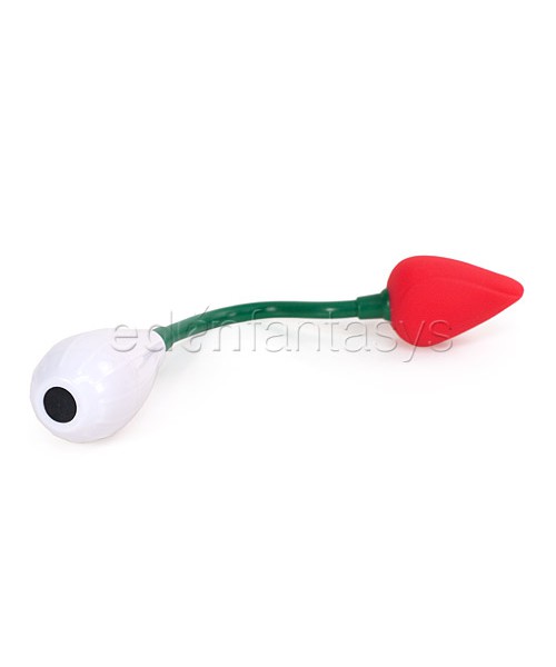 The Perfect Gift rose