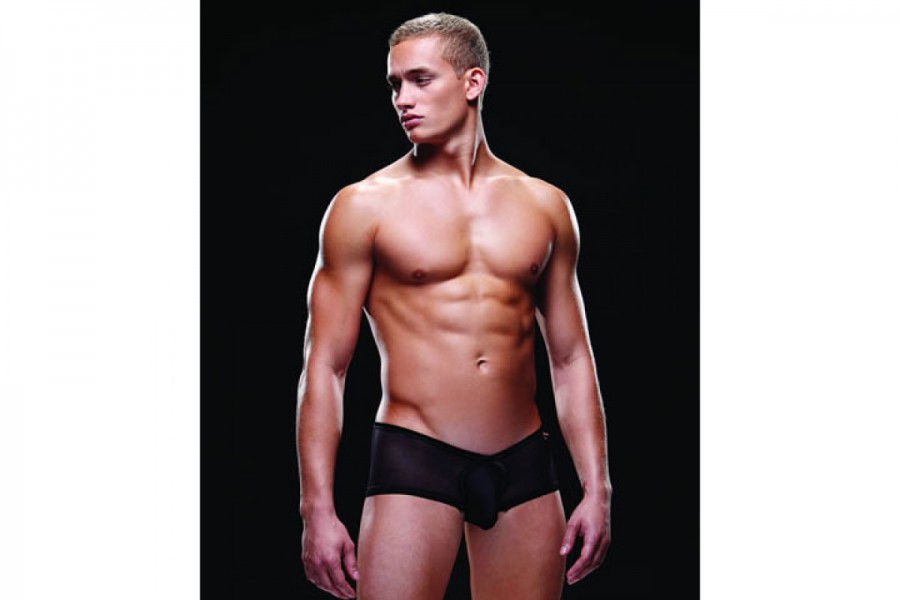 Envy E010 Mesh Brief