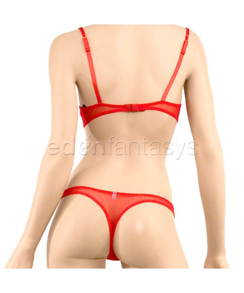 Bustless bra and panty