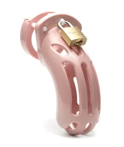 The Curve Male Chastity Device — image 16 of 21