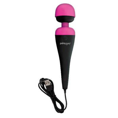 PalmPower Massage Wand Plug Play USB